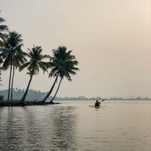 Syzygy ecosports varkala kayaking mangrove forest kayaking adventure trip kollam